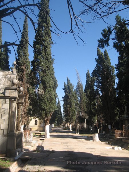 CimetiereTlemcen.jpg - Le cimetière de Tlemcen en 2007.