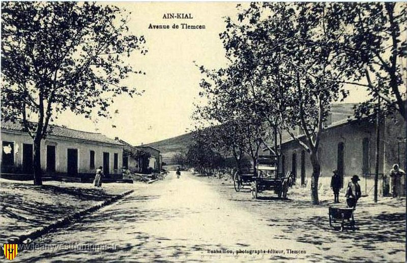 avenue de Tlemcen.jpg - Avenue de Tlemcen