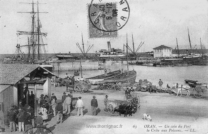 227.jpg - Le port et un coin de la criée en 1906