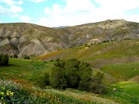 Paysage d'Algérie