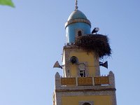 Le minaret avec ses cigognes à Perrégaux